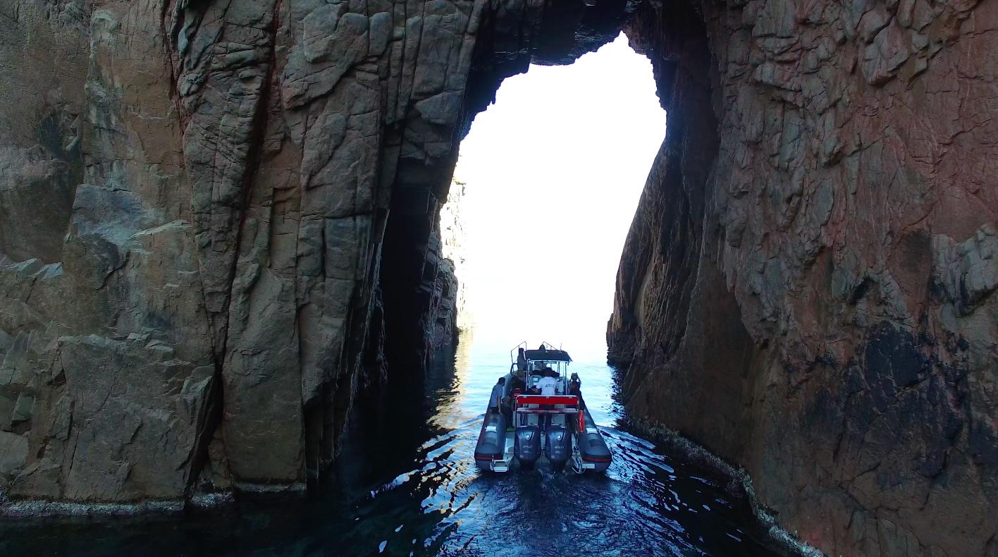 Excursion en mer, Golfe de Porto
